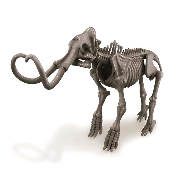 Déterre un squelette de dinosaure - Mammouth