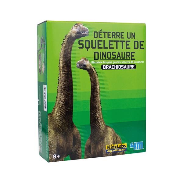 Déterre un squelette de dinosaure - Brachiosaurus