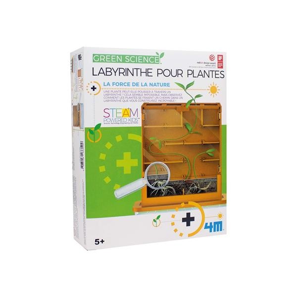 Labyrinthe en croissance